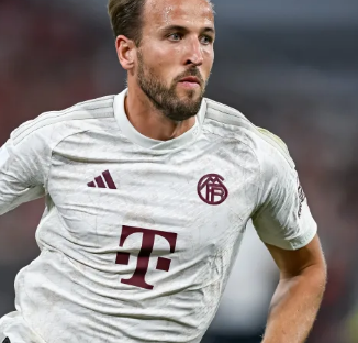 但对许多人 但对许多人